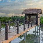 From Doha: Northern Qatar Guided Tour - Practical Details & Tips