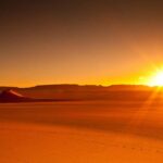 From Doha: Sunrise or Sunset Safari with Sand Boarding - The Sum Up