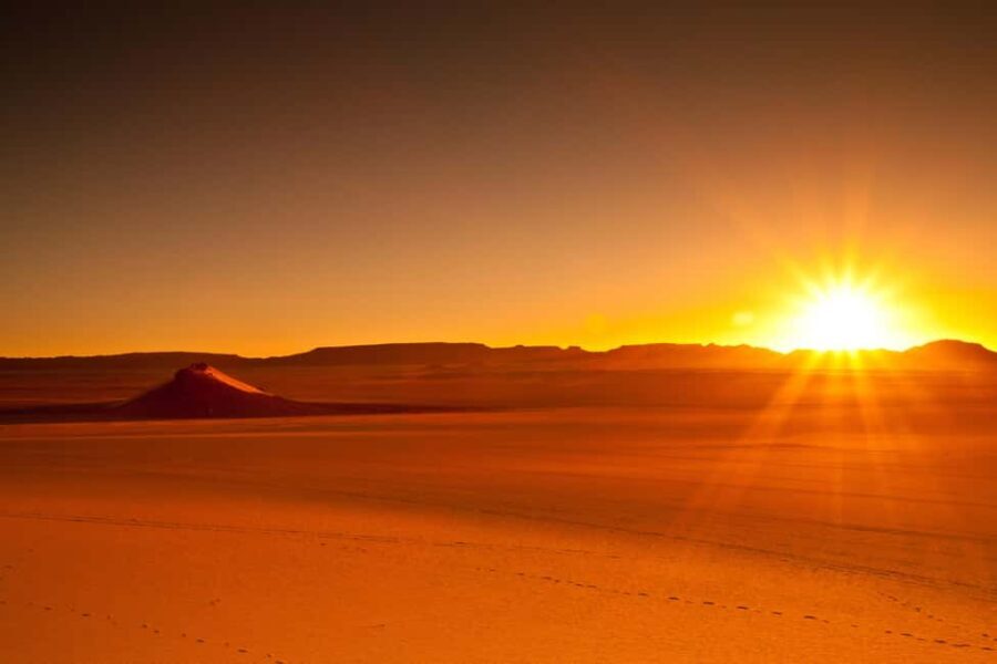 From Doha: Sunrise or Sunset Safari with Sand Boarding - The Sum Up