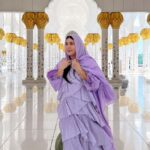 From Dubai: Abu Dhabi City Tour With teamLab Experience - Transportation and Practical Details
