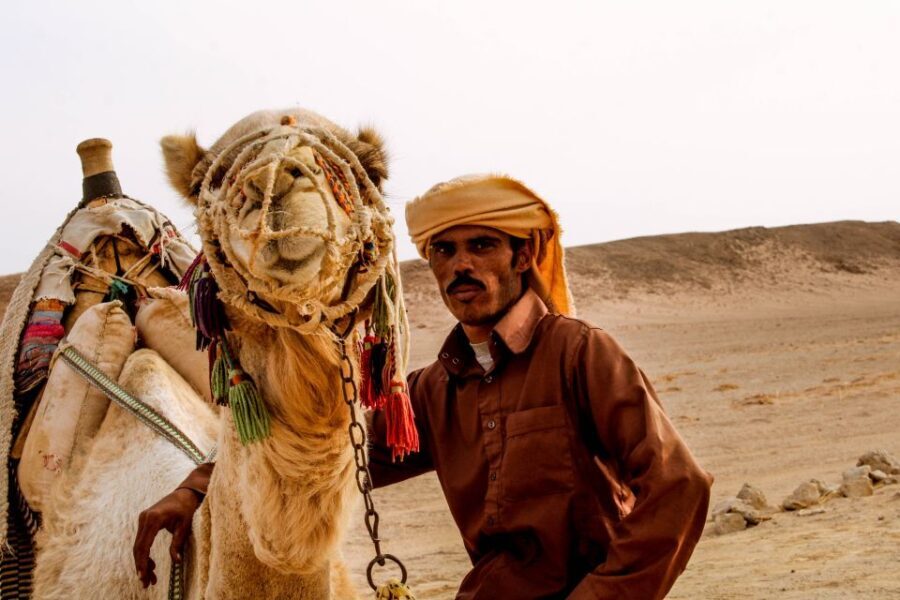 From El Gouna: Dry Canyon Quad Bike Morning Tour - Vehicle and Equipment Quality
