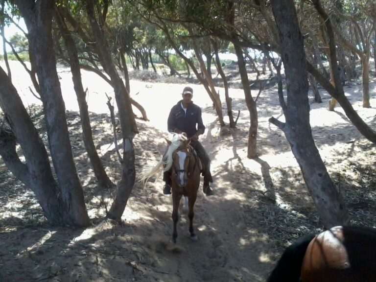 From Essaouira: 1-Hour Horse Ride with sunset - Why Is This Tour Valuable?