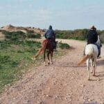 From Essaouira: 2h Horseback Ride with Sunset - The Horses: Why They Make the Difference