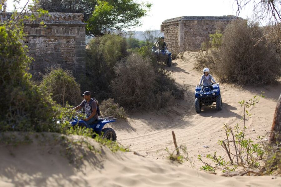 From Essaouira: Beachside Quad Bike Tour with Transfer - Authentic Experiences and Genuine Highlights