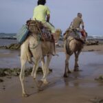 From Essaouira: Camel Tour with Overnight Stay in a tent - Discovering the Route and Landscape