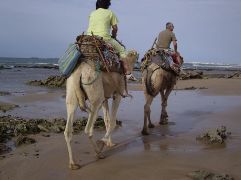 From Essaouira: Camel Tour with Overnight Stay in a tent - Discovering the Route and Landscape