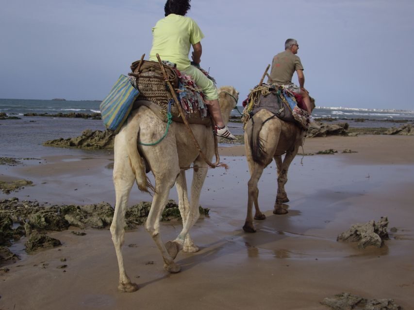 From Essaouira: Camel Tour with Overnight Stay in a tent - Discovering the Route and Landscape