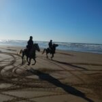 From Essaouira: Scenic Diabat Horseback Ride with Transfer - The Itinerary in Detail