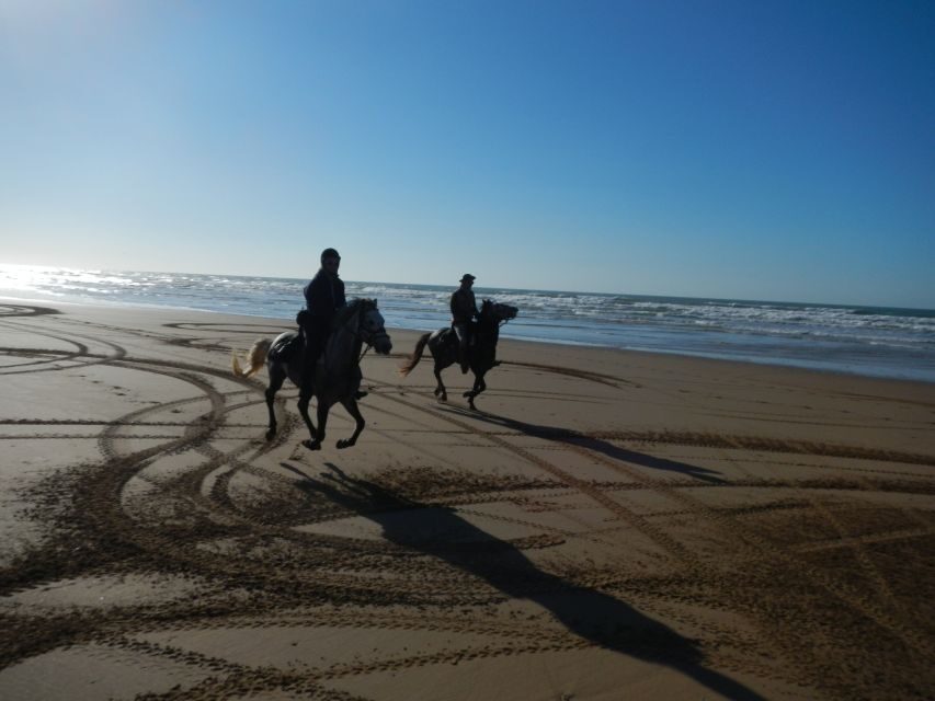 From Essaouira: Scenic Diabat Horseback Ride with Transfer - The Itinerary in Detail