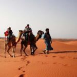 From Fes: 2-Day Luxury Desert Tour to Marrakech & Back Fez - What’s Included & What to Keep in Mind