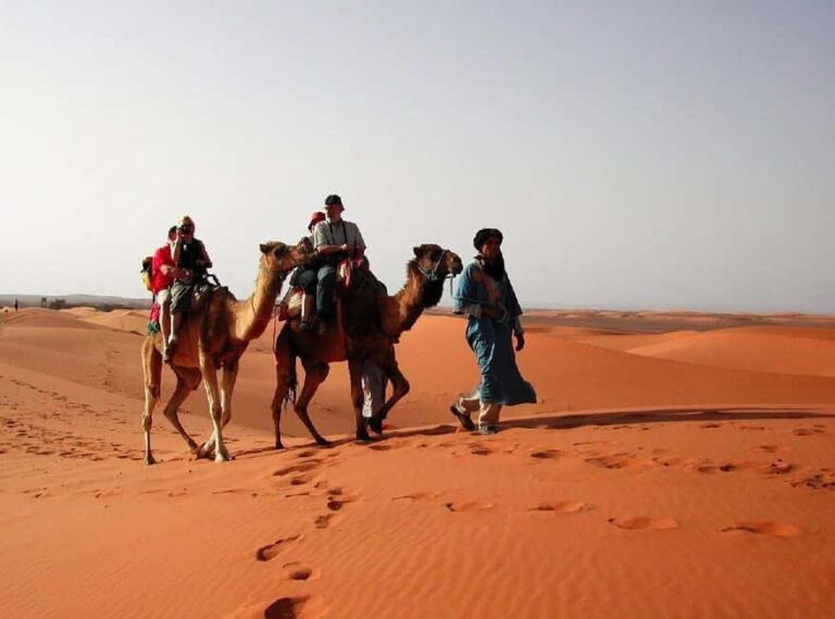 From Fes: 2-Day Luxury Desert Tour to Marrakech & Back Fez - What’s Included & What to Keep in Mind
