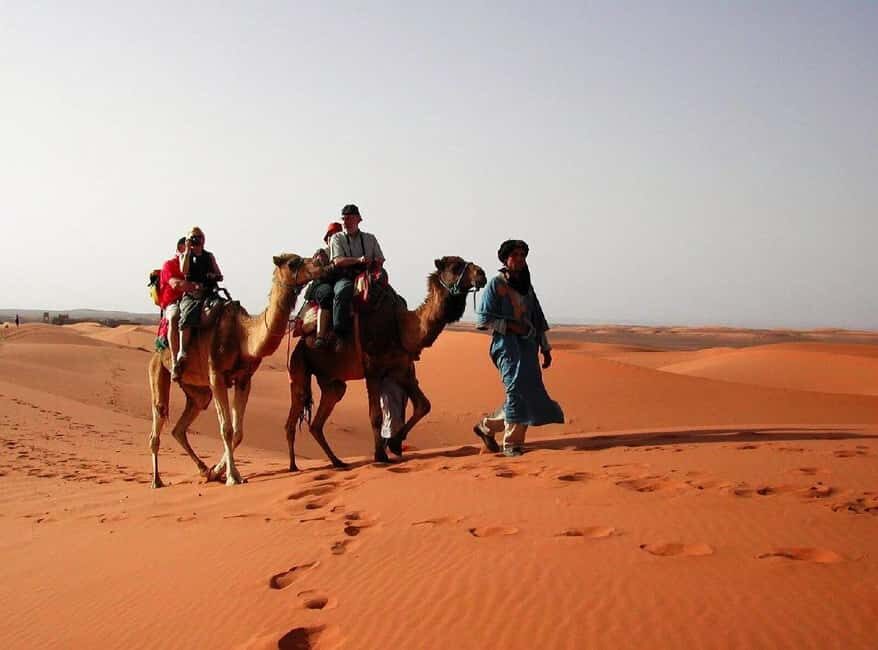 From Fes: 2-Day Luxury Desert Tour to Marrakech & Back Fez - What’s Included & What to Keep in Mind