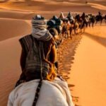 From Fes: 2-Day Merzouga Desert Trip w/Luxury Tent & Dinner - The Desert Camp Experience