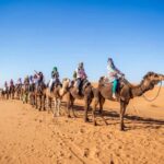 From Fes: 2-Day Merzouga Desert Trip(Luxury Tent & Dinner) - The Journey Begins: From Fez to the Sahara