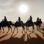 From Fes: 2 Day Trip to Marrakech via the Desert& Camel Trek - What’s Included and What’s Not