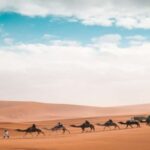 From Fes: 3-Day 2-Night Desert Tour to Marrakech - The Itinerary in Detail: What to Expect