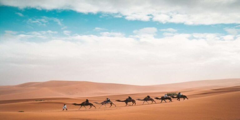 From Fes: 3-Day 2-Night Desert Tour to Marrakech - The Itinerary in Detail: What to Expect