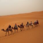 From Fes: 3-Day, 2-Night Desert Trip to Merzouga - What Makes This Tour Stand Out