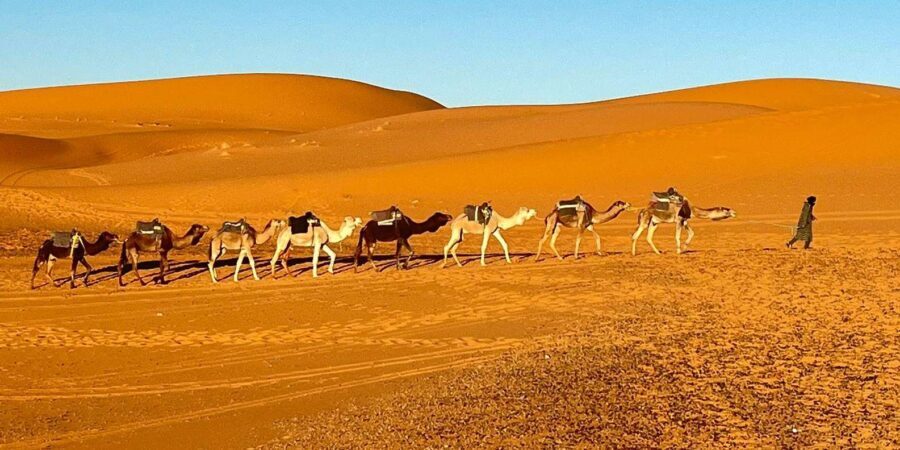 From Fes: 3-Day Merzouga Tour with Camel Ride & luxury camp - The Journey Begins: From Fes to the Desert