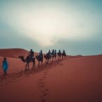 From Fes: 3 Days and 2 Nights Desert Trip to Marrakech - Who Will Love This Tour?