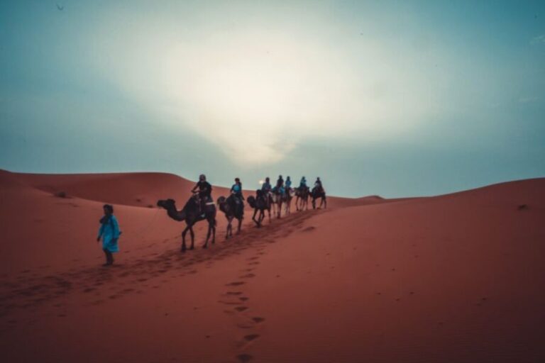 From Fes: 3 Days and 2 Nights Desert Trip to Marrakech - Who Will Love This Tour?