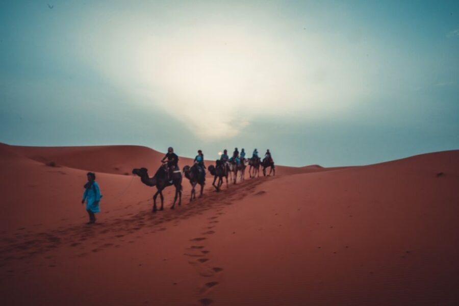 From Fes: 3 Days and 2 Nights Desert Trip to Marrakech - Who Will Love This Tour?