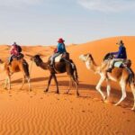 From Fes: 4-Day Desert Tour to Marrakech - A Closer Look at the 4-Day Desert Journey