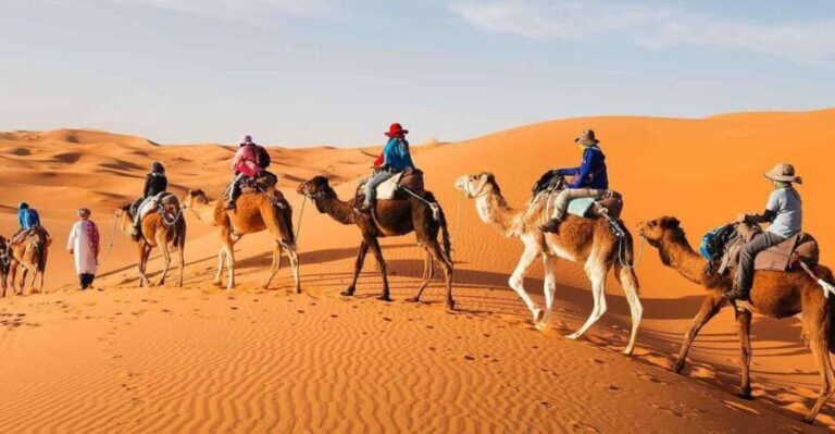 From Fes: 4-Day Desert Tour to Marrakech - A Closer Look at the 4-Day Desert Journey