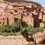 From Fes : 4-Days Desert Merzouga Tour To Marrakech - What’s Included and What to Expect