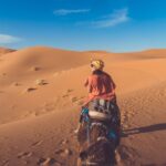 From Fez: 2-Days Desert Tour to Marrakech via Merzouga - What Makes This Tour Stand Out?