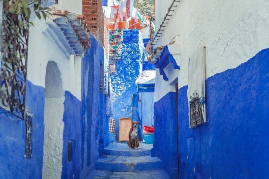 From Fez: Chefchaouen Full-Day Trip - The Journey Begins: From Fez to the Blue City