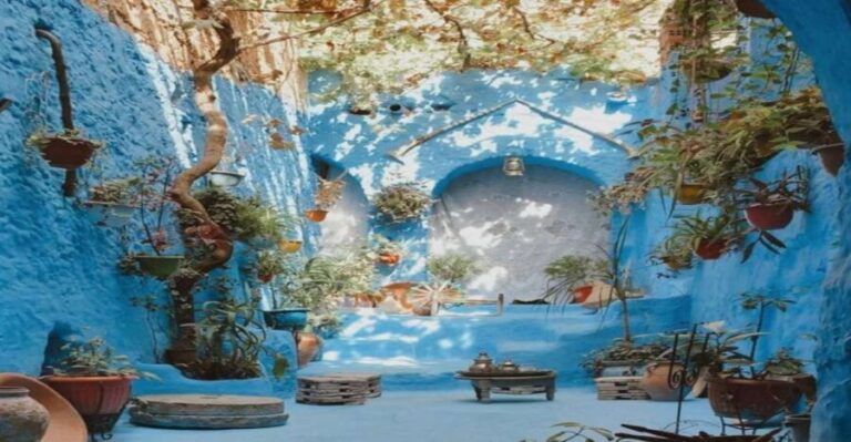 From Fez: Chefchaouen Guided Day Tour - Arrival and initial exploration in Chefchaouen