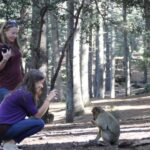 From Fez: Middle Atlas Day Trip with Ifrane National Park - The Reality of the Tour: Pros and Cons