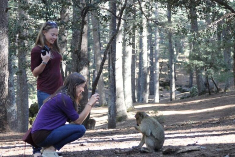 From Fez: Middle Atlas Day Trip with Ifrane National Park - The Reality of the Tour: Pros and Cons