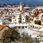 From Fez: Middle Atlas Ifran and Forest of Monkeys Day Trip - The Practicalities: What to Expect and Tips
