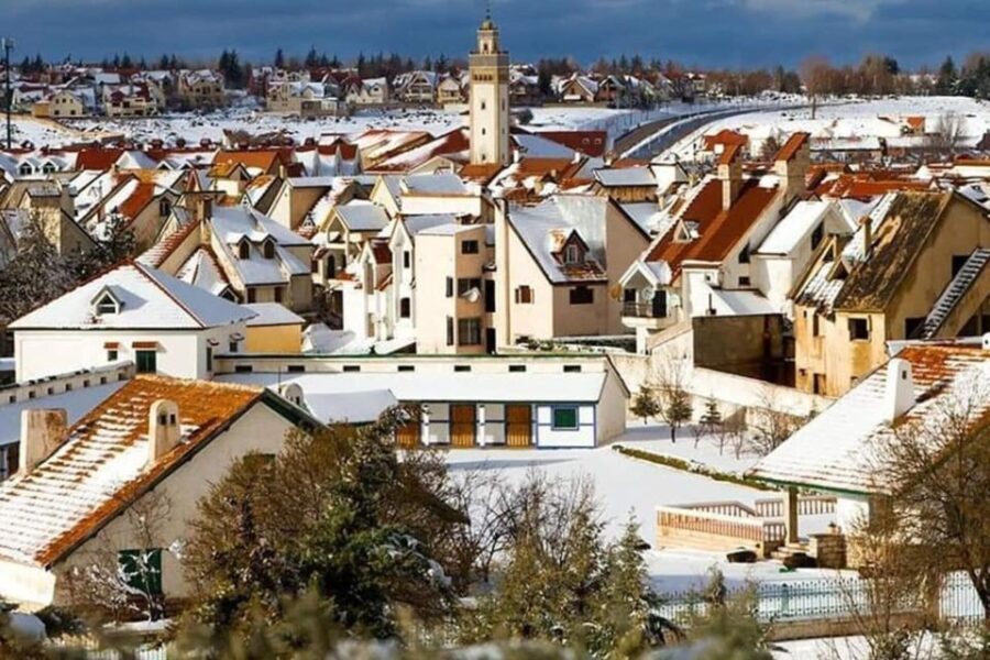 From Fez: Middle Atlas Ifran and Forest of Monkeys Day Trip - The Practicalities: What to Expect and Tips