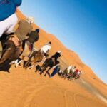From Fez: Privat Tour 3-Day To Marrakech Via-Desert Merzouga - The Detailed Journey Through Morocco’s Highlights