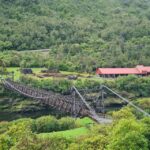 From Greymouth: Highlights West Coast Day Tour - What’s Included and What to Bring