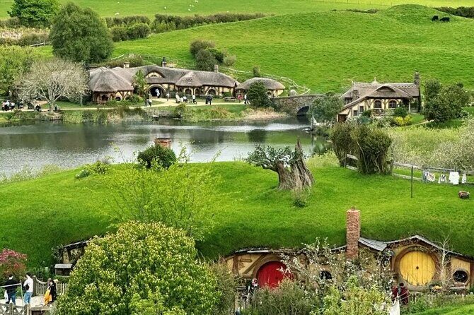 From Hamilton Hobbiton Waitomo Glowworm Caves 1 Day Private Tour - The Itinerary: What You Can Expect