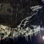 From Hamilton: Waitomo Glowworm & Cave Explorer Small Group Tour - The Journey Begins in Hamilton