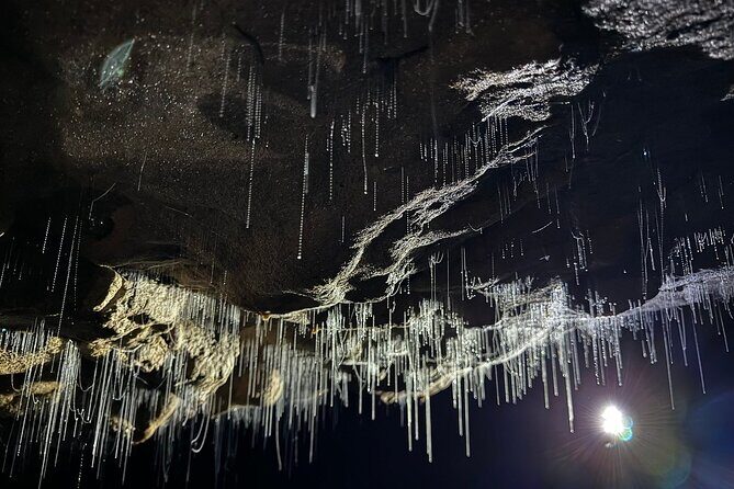 From Hamilton: Waitomo Glowworm & Cave Explorer Small Group Tour - The Journey Begins in Hamilton