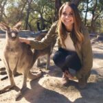 From Haymarket: Hunter Valley Wine and Wildlife Day Trip - An In-Depth Look at the Hunter Valley Day Trip