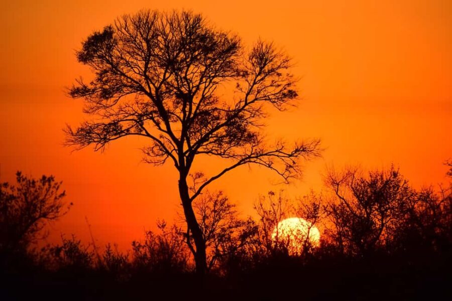 From Hazy View: Full Day Kruger National Park Safari - The Lunch Break and Afternoon Drive