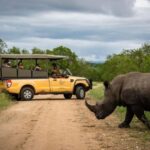 From Hazyview: Kruger National Park Morning Half-Day Safari - Authentic Experiences from Travelers