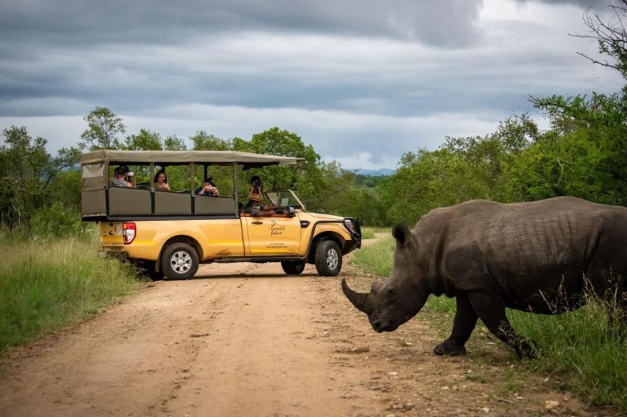 From Hazyview: Kruger National Park Morning Half-Day Safari - Authentic Experiences from Travelers