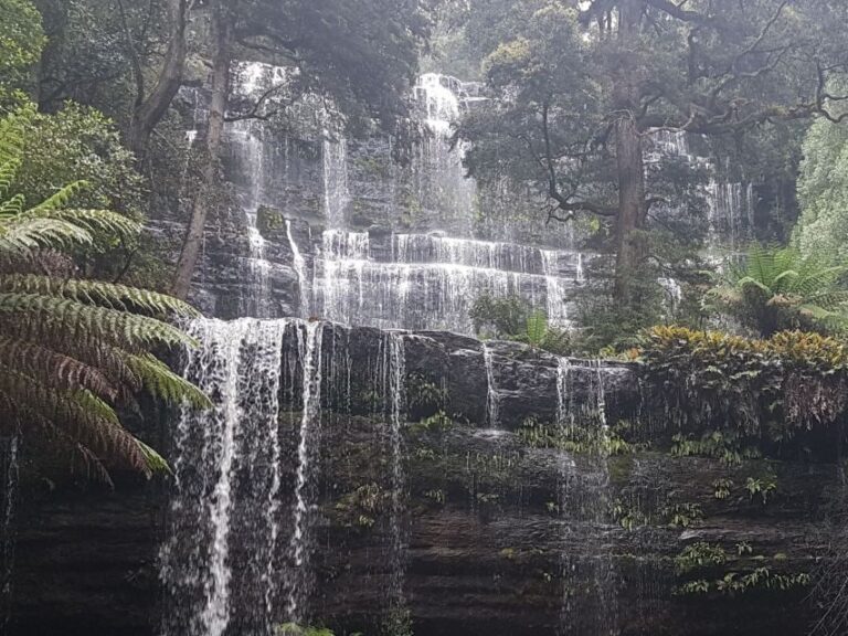 From Hobart: 2 Day Cradle Mountain Tour - Why This Tour Offers Great Value for Money