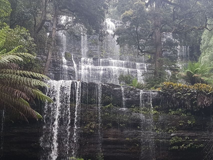 From Hobart: 2 Day Cradle Mountain Tour - Why This Tour Offers Great Value for Money