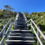 From Hobart: Bruny Island Nature & Produce Adventure Tour - The Details of the Itinerary