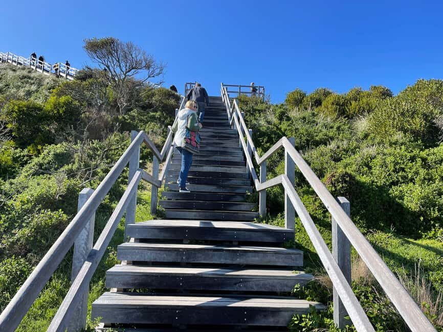 From Hobart: Bruny Island Nature & Produce Adventure Tour - The Details of the Itinerary