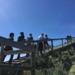 From Hobart: Full-Day Bruny Island Tour with Guide - Why This Tour Offers Great Value